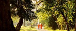 cambodia-monks-rural-setting